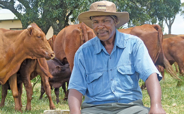 Top emerging beef farmer’s journey to success with Bonsmara