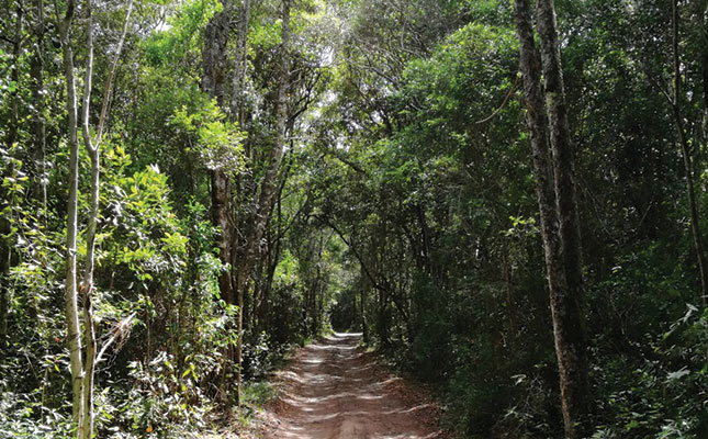 Healthier trees, thanks to pest-control partners Healthier trees, thanks to pest-control partners