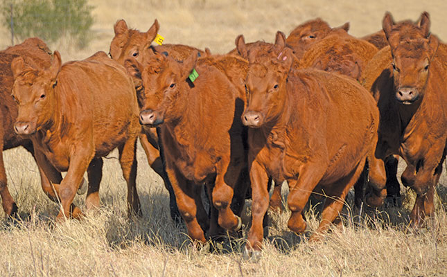 Performance testing for the commercial farmer