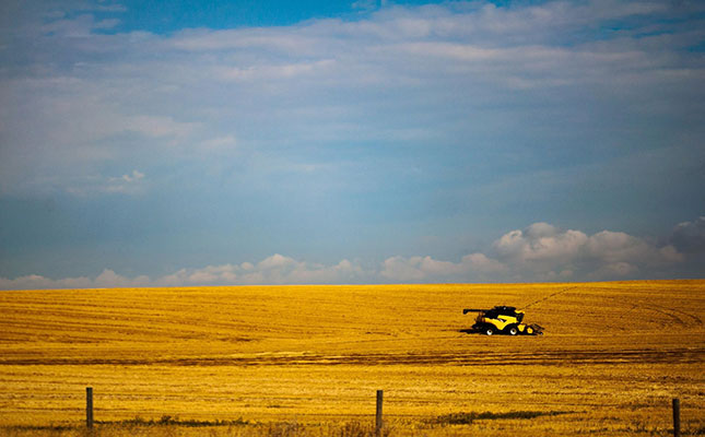 Canada’s commodity exports surge amid global economic slowdown