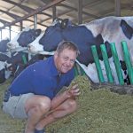 JK Basson farms dairy cattle near Darling in the Swartland.