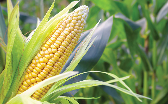 Target pests and maintain ecological balance with Amicor® Insect Control Target pests and maintain ecological balance with Amicor® Insect Control
