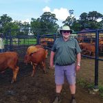 Rian van Wyk selects to achieve a year-on-year improvement in his herd.
