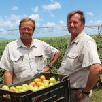 Sakkie Terblanche (left) and his brother André run the family farm.