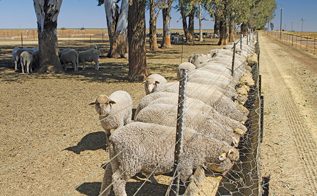 The proper fencing to keep sheep and goats safe