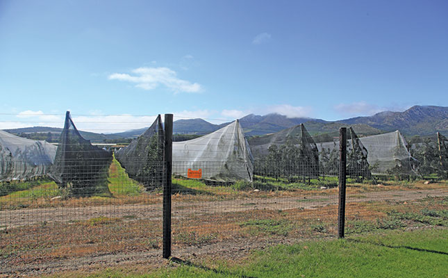 Survival strategies of farmers in the Langkloof