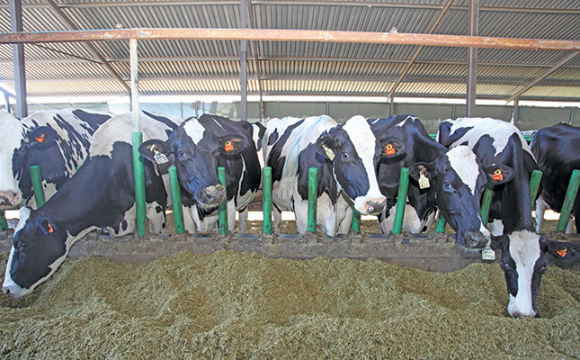 How a top dairy farmer is mitigating high input costs