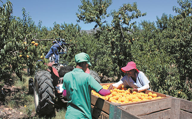 Lifeline for stakeholders in Ashton fruit canning business Lifeline for stakeholders in Ashton fruit canning business