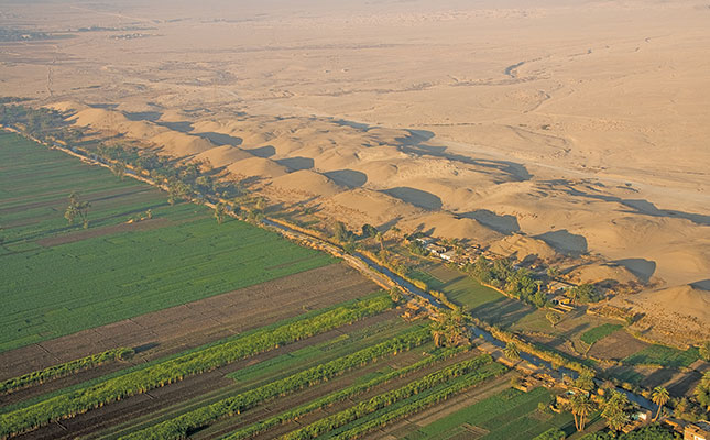 Egypt: the world’s biggest exporter of oranges