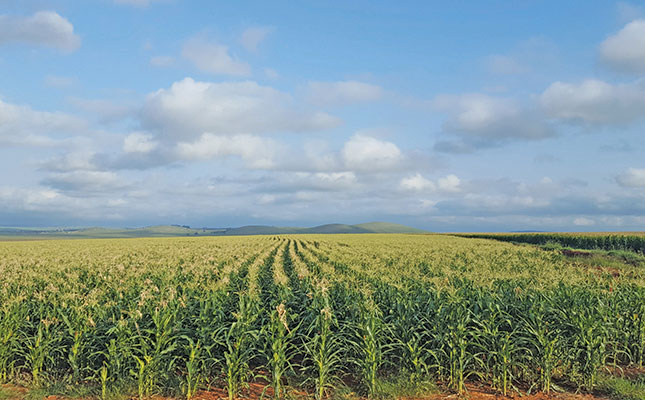 Seizing the opportunity in SA’s seed market