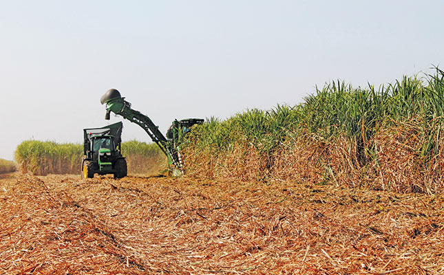 Factors hampering SA’s sugar industry