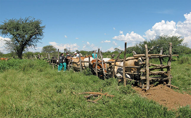 ‘Agri-tech worker shortage could dampen growth’ ‘Agri-tech worker shortage could dampen growth’