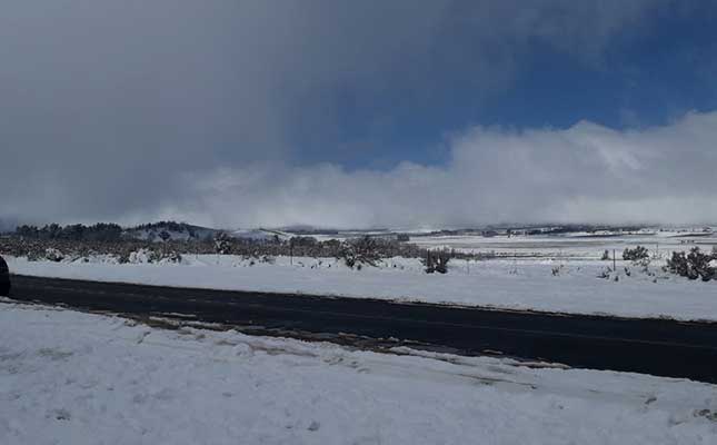 Winter rainfall farmers welcome cold, wet weather Winter rainfall farmers welcome cold, wet weather