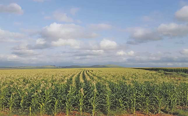 Land Bank denies unethical behaviour towards ‘distressed’ farmers Land Bank denies unethical behaviour towards ‘distressed’ farmers