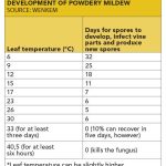 Table 2: Effect of temperature on the development of powdery mildew