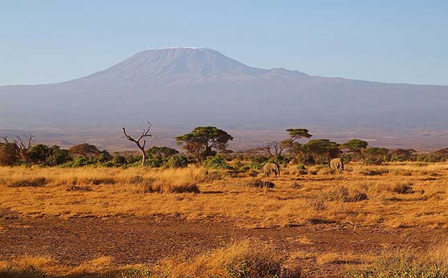 Saving wildlife, livelihoods amid climate challenges in Kenya Saving wildlife, livelihoods amid climate challenges in Kenya