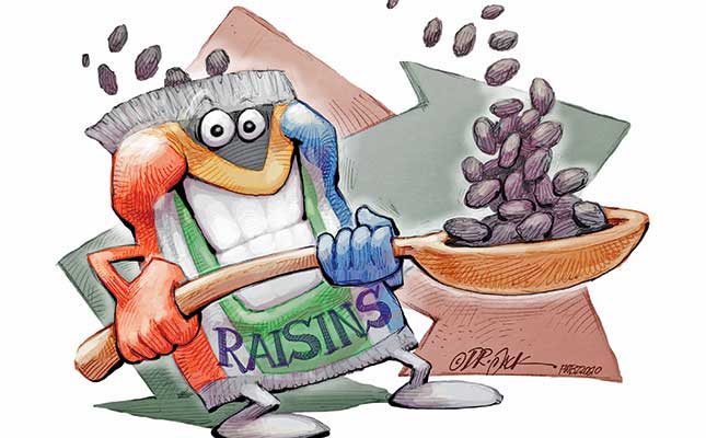 Logistics: the weak link in SA’s raisin industry