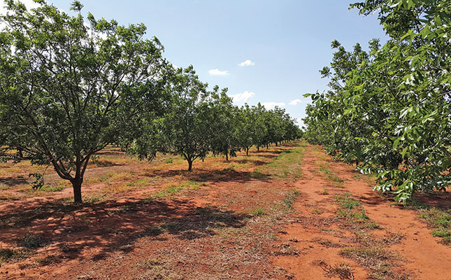 The pros of integrated pest management The pros of integrated pest management