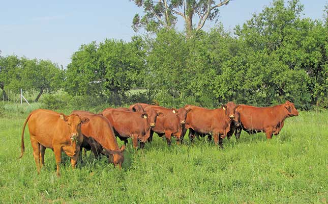 ‘FMD restrictions are late, but necessary’ ‘FMD restrictions are late, but necessary’