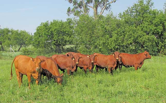 ‘FMD restrictions are late, but necessary’