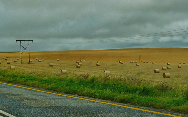 ‘Rolling blackouts threaten SA’s food security and exports’ ‘Rolling blackouts threaten SA’s food security and exports’