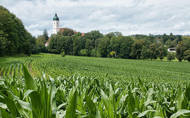 Fertiliser shortage threatens farming, food security in Europe