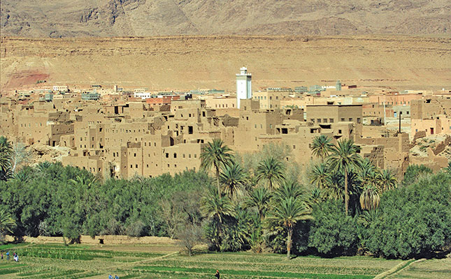 Morocco’s drive to increase citrus production Morocco’s drive to increase citrus production