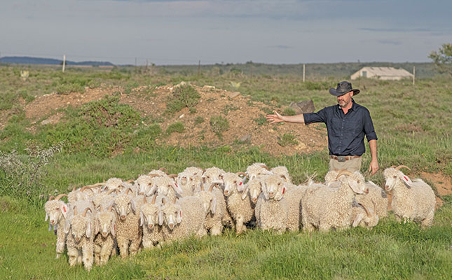 SA’s oldest Angora stud: building on a foundation of excellence
