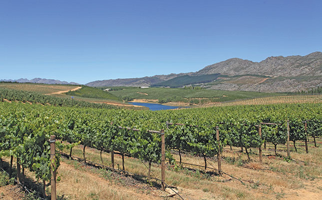 SA’s vineyards need climate-proofing