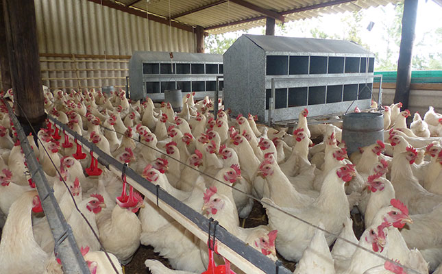 US bans poultry products from Botswana