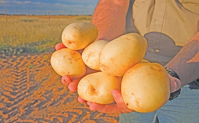 Heatwave, blackouts double whammy for Limpopo farmers Heatwave, blackouts double whammy for Limpopo farmers