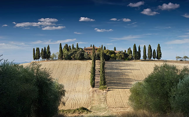 Italy’s right-wing coalition sets agenda for agriculture Italy’s right-wing coalition sets agenda for agriculture