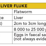 Table 3: Liver Fluke