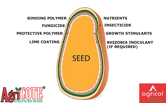 Are your seeds coated with advanced technology?