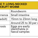 TABLE 7: Long-necked bankrupt worm