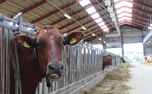Lessons from Danish researchers and farmers Lessons from Danish researchers and farmers
