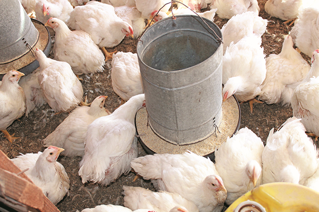 Establishment of National Biosecurity Hub widely welcomed Establishment of National Biosecurity Hub widely welcomed