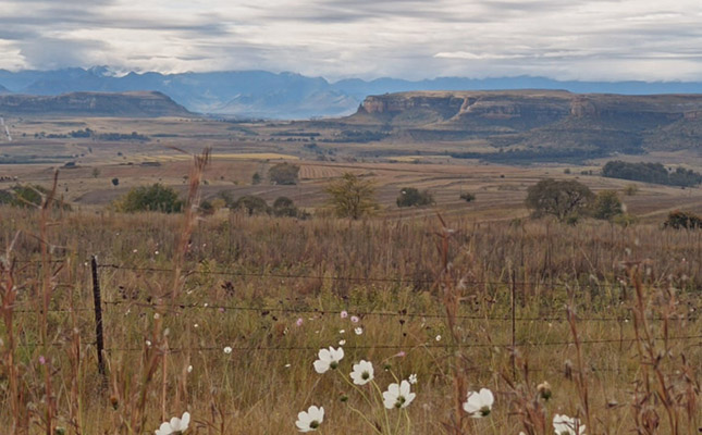 Rampant crime in Lesotho-border region takes its toll on farmers
