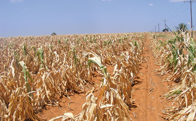 COP27: Climate-proofing agriculture to enhance food security