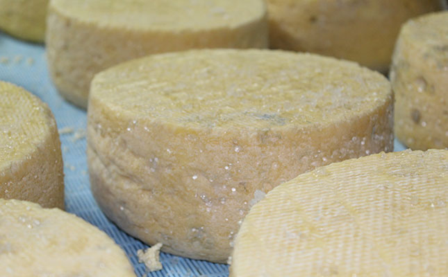 Champion cheesemaker goes for quality over quantity