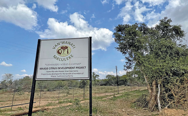 Citrus: a long-term vision for traditional communities Citrus: a long-term vision for traditional communities