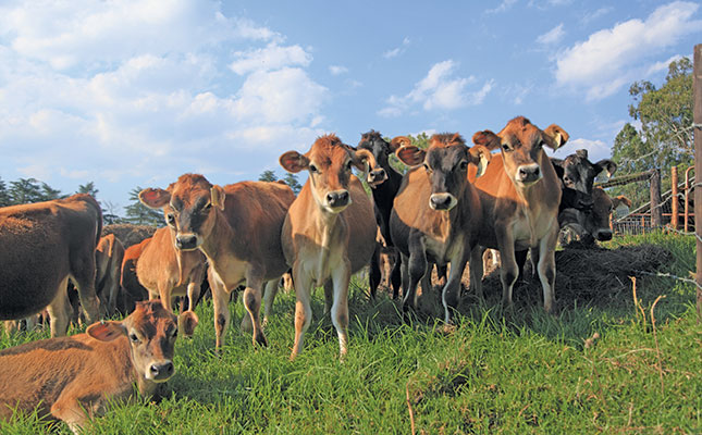 Passion drives subsistence dairy to commercial success Passion drives subsistence dairy to commercial success