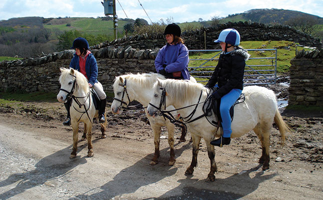 Cost-saving tips for horse owners