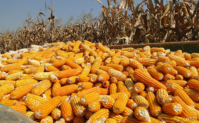 Mexico seeking deal with US in the wake of planned GM maize ban