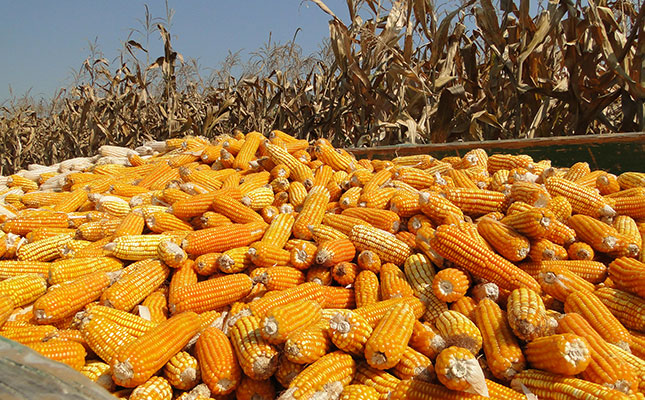 Mexico seeking deal with US in the wake of planned GM maize ban Mexico seeking deal with US in the wake of planned GM maize ban