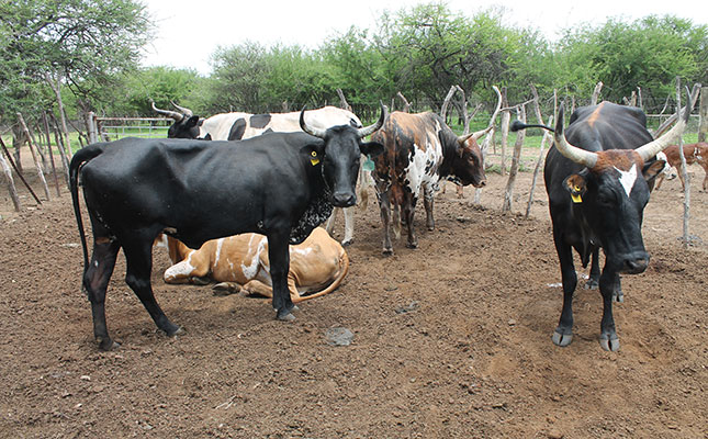 Biosecurity protocols to combat livestock diseases