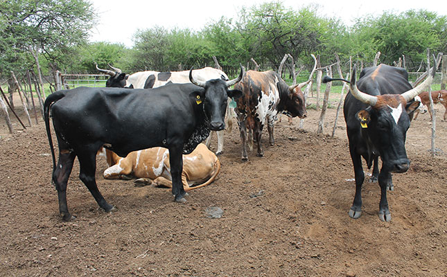 Biosecurity protocols to combat livestock diseases Biosecurity protocols to combat livestock diseases