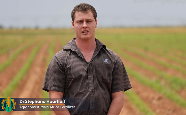 Maize Trust bursary: Making a difference | Episode 5 Maize Trust bursary: Making a difference | Episode 5