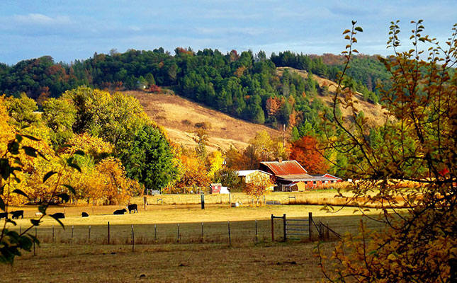 US farming income reaches record high in 2022