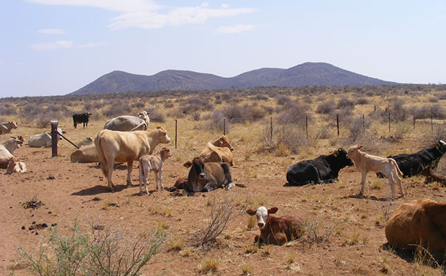 First global study on the effects of livestock grazing
